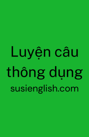 SE 02 -  Luyện câu thông dụng